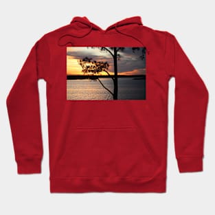 Peeping Sunset Hoodie